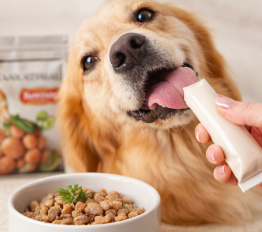 Premios & Comida Húmeda