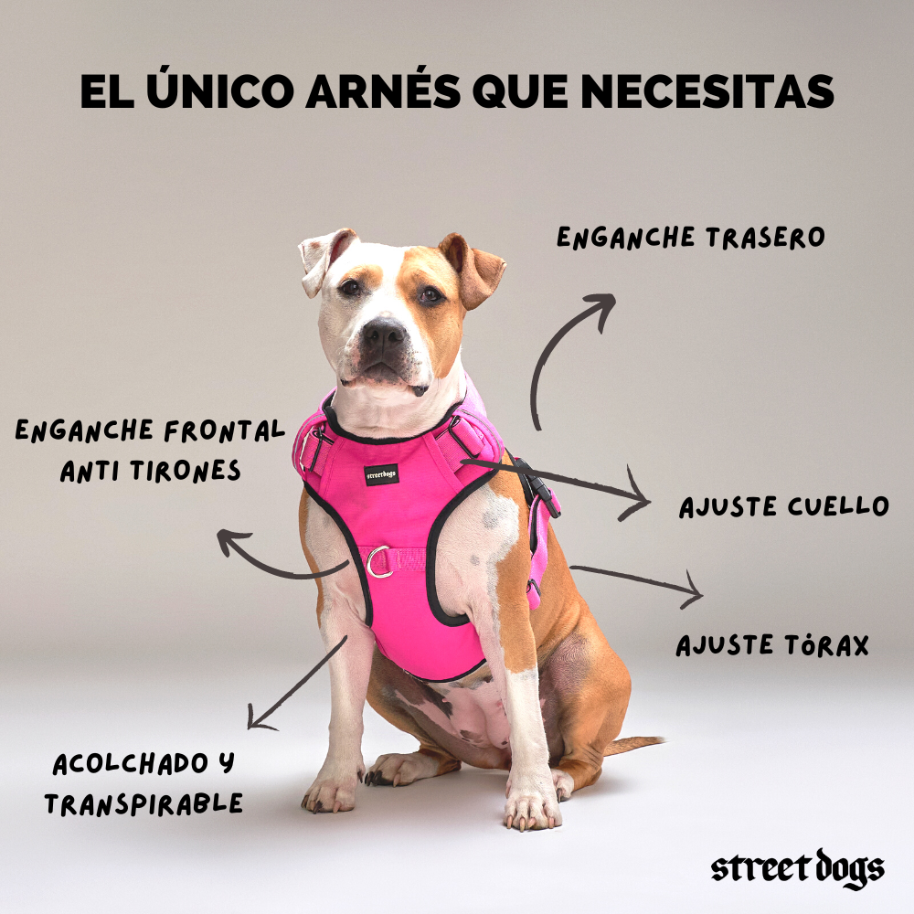 Arnés Confort Rosado